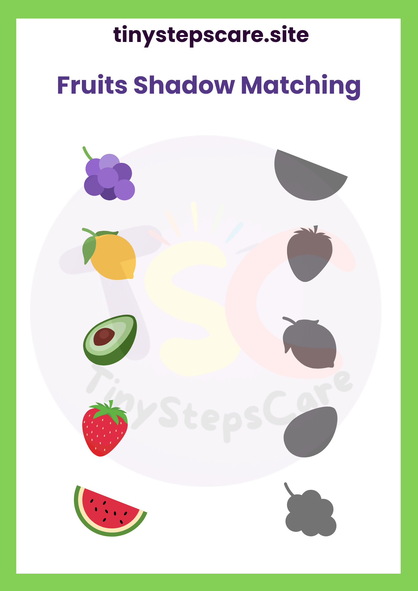 Preschool Shadow matching activity worksheet for early learning